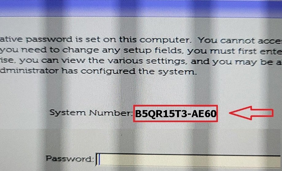 Dell AE60 Security Manager Password